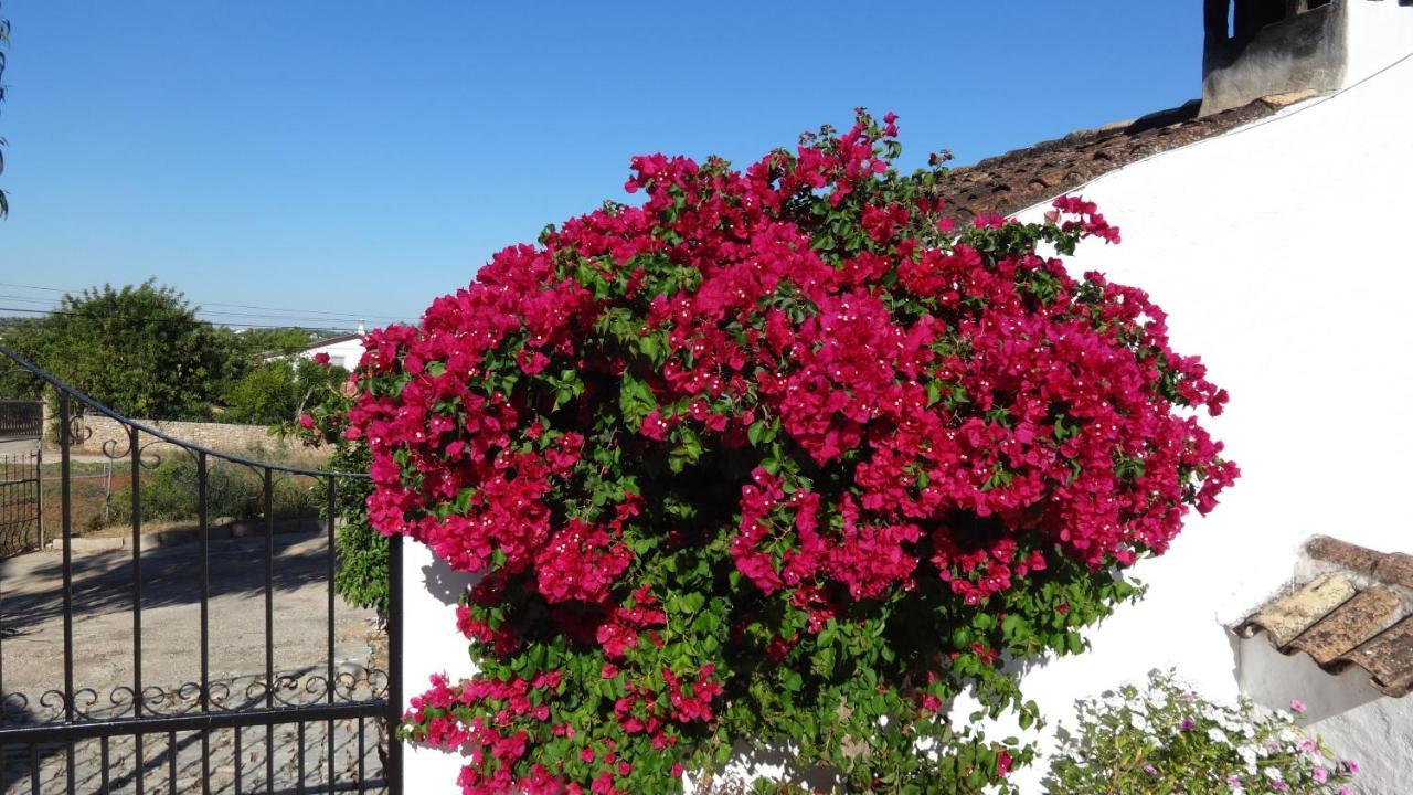 Casa Esperanca - Carefree Living With Big Private Pool And Great Views Villa Olhao Luaran gambar